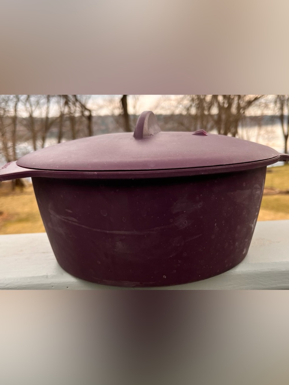 Epicure Silicone Round  Steamer with lid.